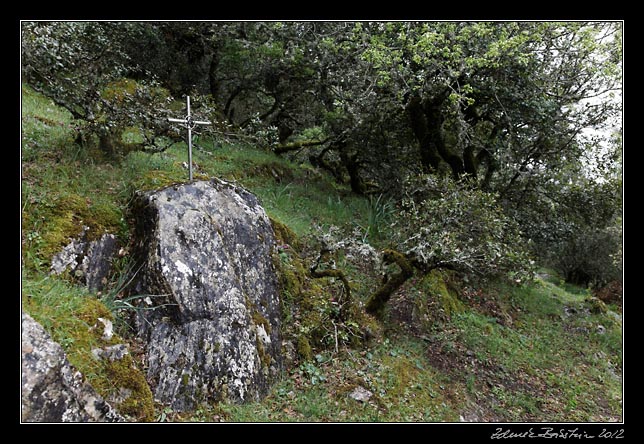 Sarula - Nostra Signora di Gonari