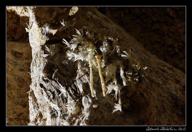 Is Zuddas caves -