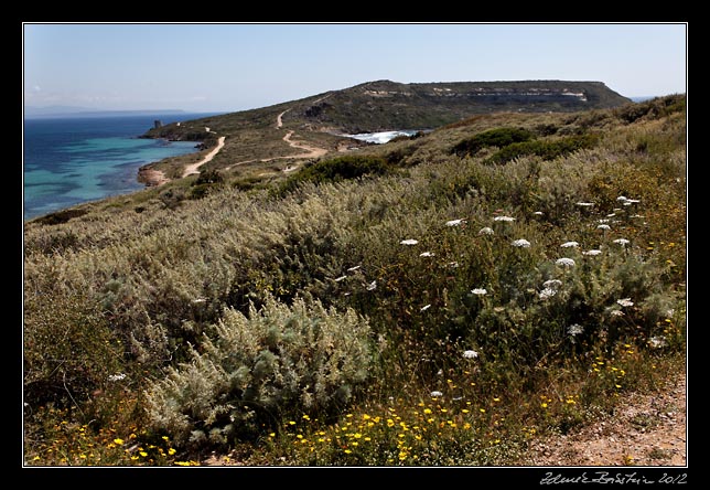 Sinis peninsula - Capo San Marco