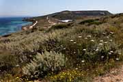 Sinis peninsula - Capo San Marco