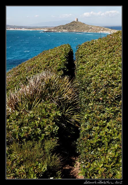 Sinis peninsula - Capo San Marco