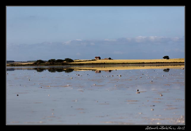 Sinis peninsula - Stagno Sale Porcus