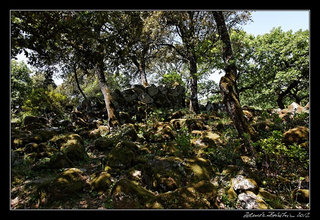 Giara di Gesturi - nuraghe