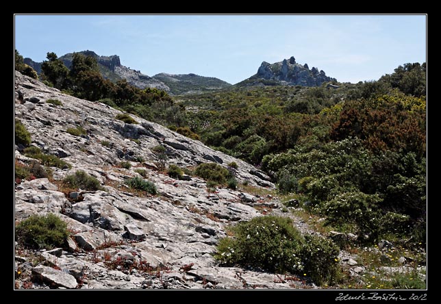 Montiferru, Mt.Entu - trail to Mt. Entu