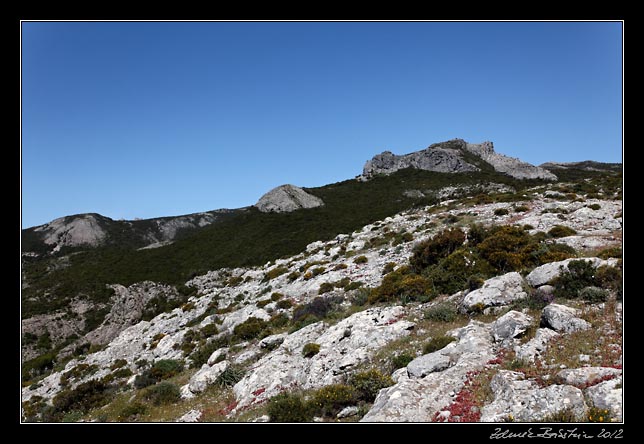 Montiferru, Mt.Entu -