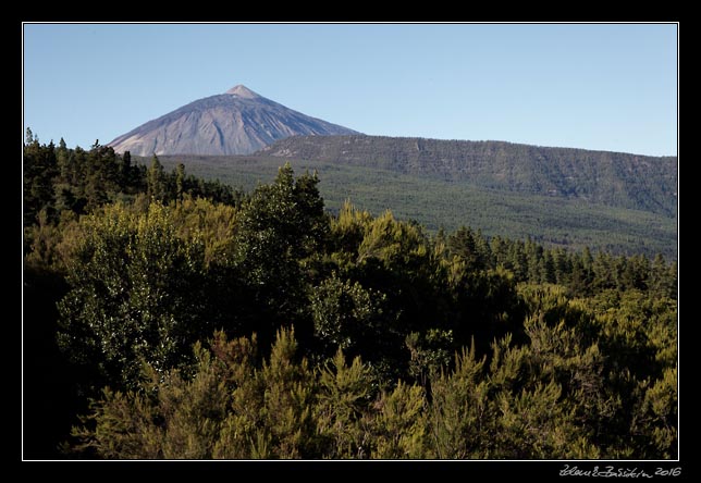 Canadas - Teide