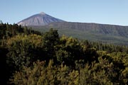 Canadas - Teide