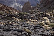 Canadas - Los Roques De Garcia