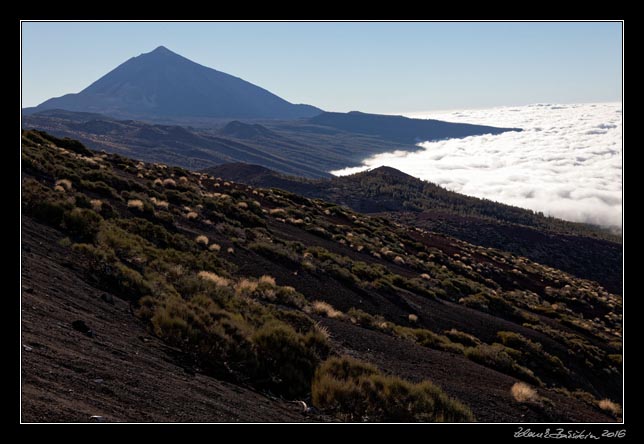 Canadas - Teide