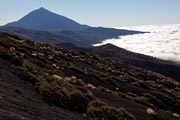 Canadas - Teide