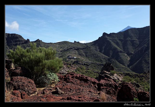 Teno - Guergues - Casas de Araza, Teide