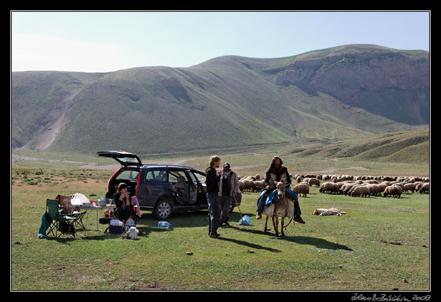 Turkey - Ahlat area - Nemrut Daği, a morning encounter