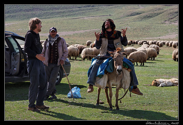 Turkey - Ahlat area - Nemrut Daği, a morning encounter