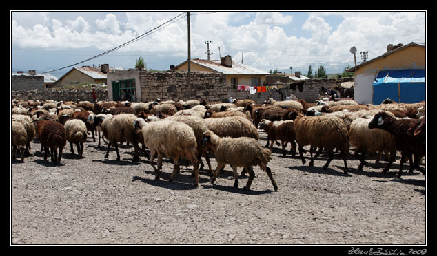 Turkey - Dogubeyazit - Doğubeyazit