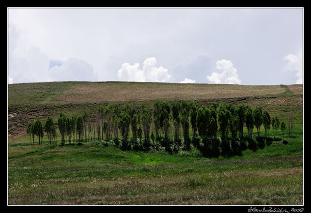 Turkey - Dogubeyazit - (at Diyadin)