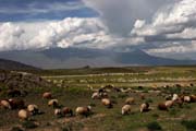 Turkey - Dogubeyazit - Ararat