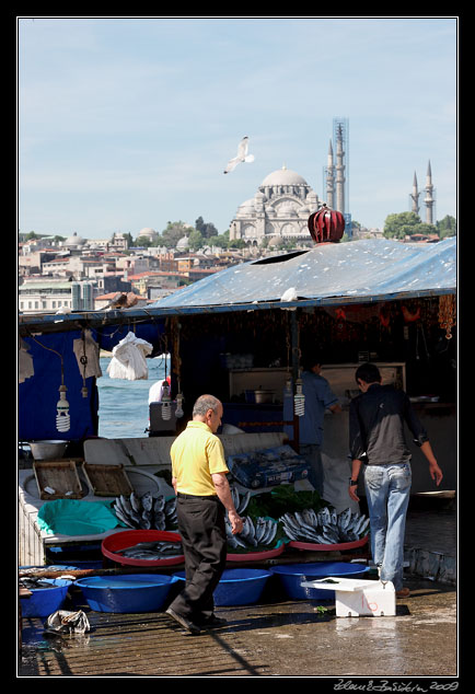 Istanbul - fish market, Karaky