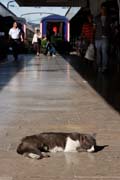 Istanbul - Haydarpaa Tren Istasyonu