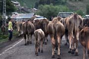 Turkey, Kars province