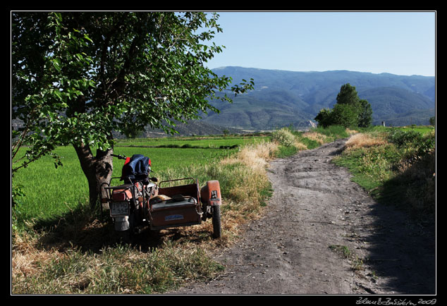 Turkey - rice fields at Dereky