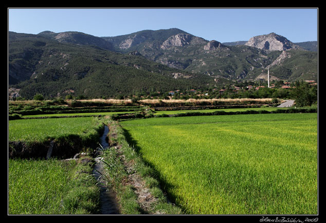 Turkey - rice fields at Dereky