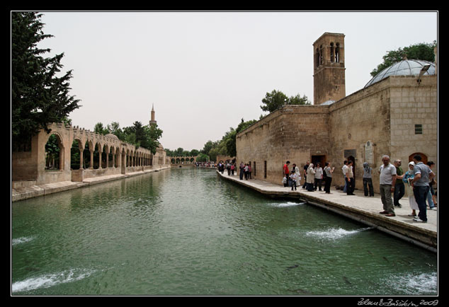 Turkey - anlıurfa province - anlıurfa - Glbaı