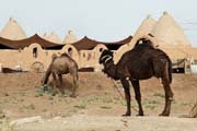 Turkey - anlıurfa province - Harran