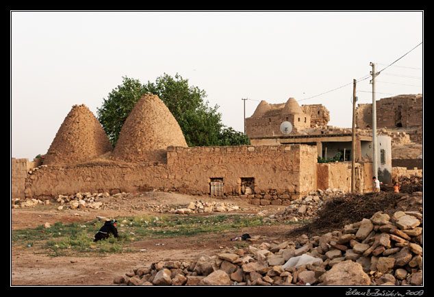 Turkey - anlıurfa province - Harran