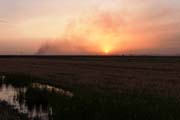 Turkey - anlıurfa province - burning stubbles