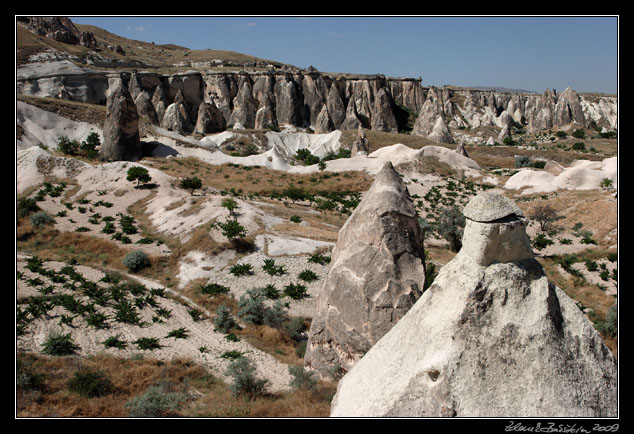 Turkey - Cappadocia - Pasabaglari