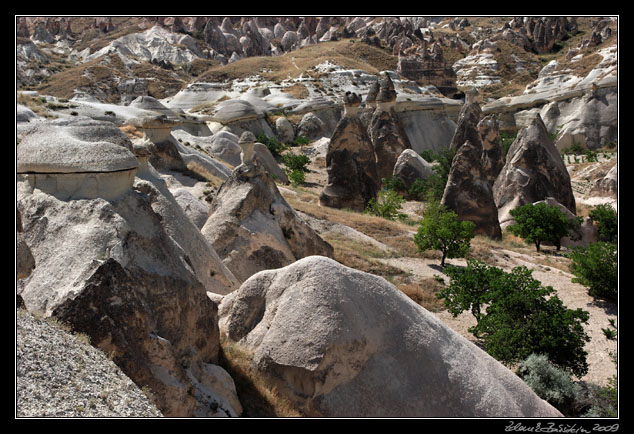 Turkey - Cappadocia - Pasabaglari