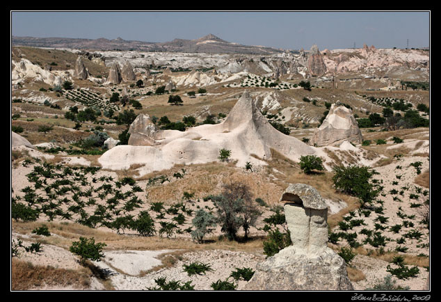 Turkey - Cappadocia - Pasabaglari