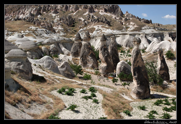 Turkey - Cappadocia - Pasabaglari