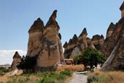 Turkey - Cappadocia - Pasabaglari