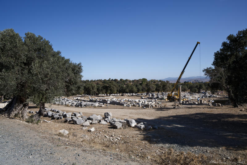 Teos - temple of Dionysus