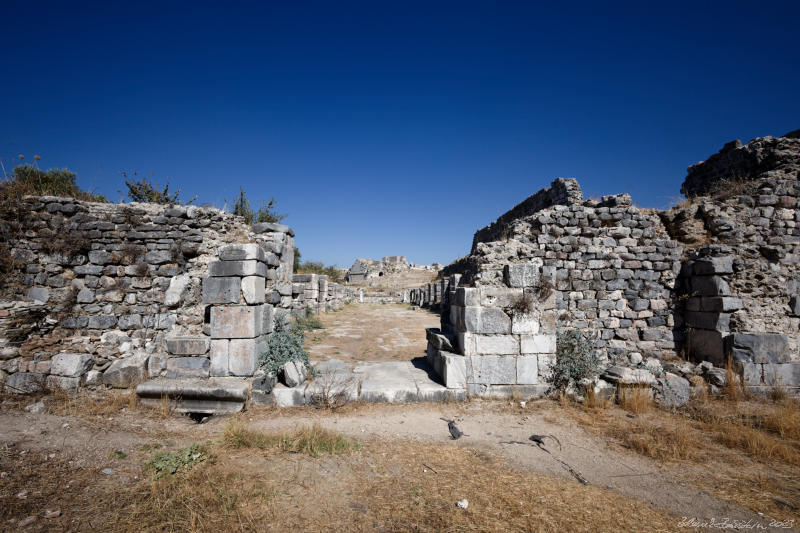 Miletus - Baths of Faustina