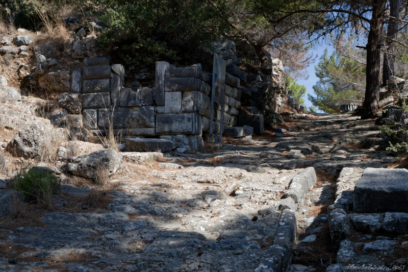 Priene -