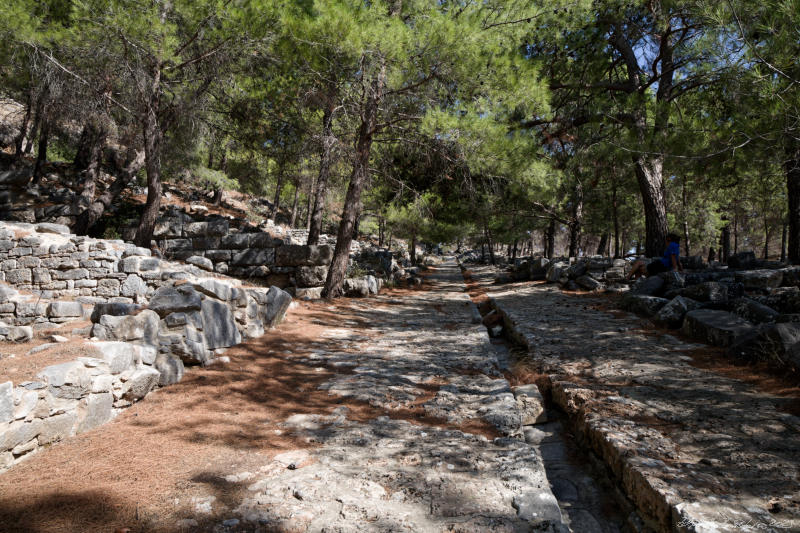 Priene -