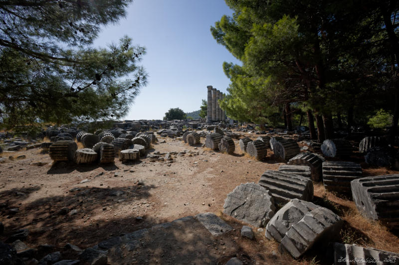 Priene - Temple of Athena