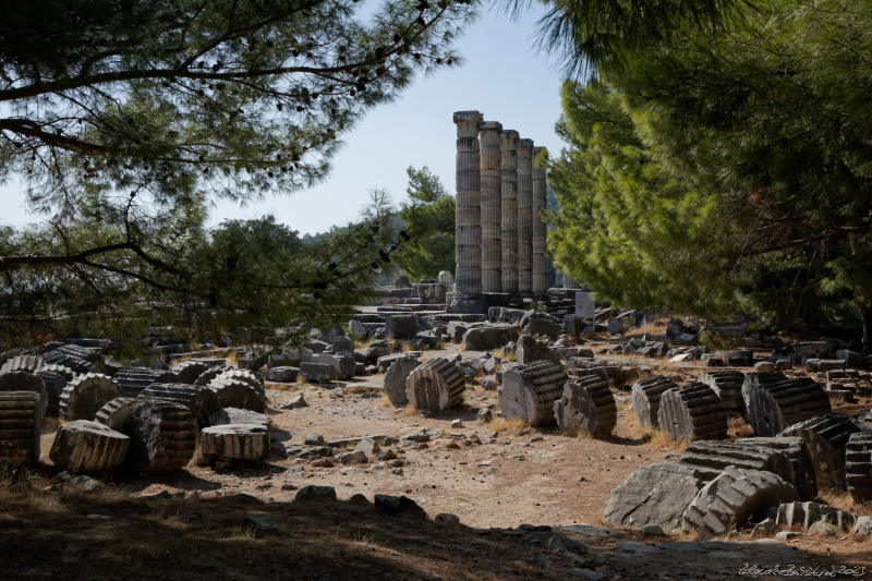 Priene - Temple of Athena