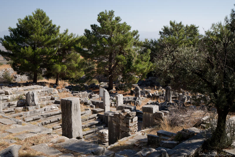 Priene -