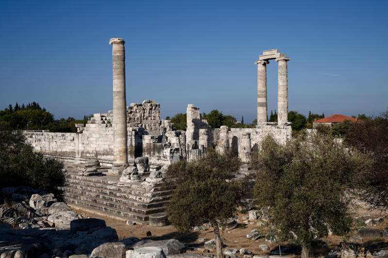 Didim - Temple of Apollo