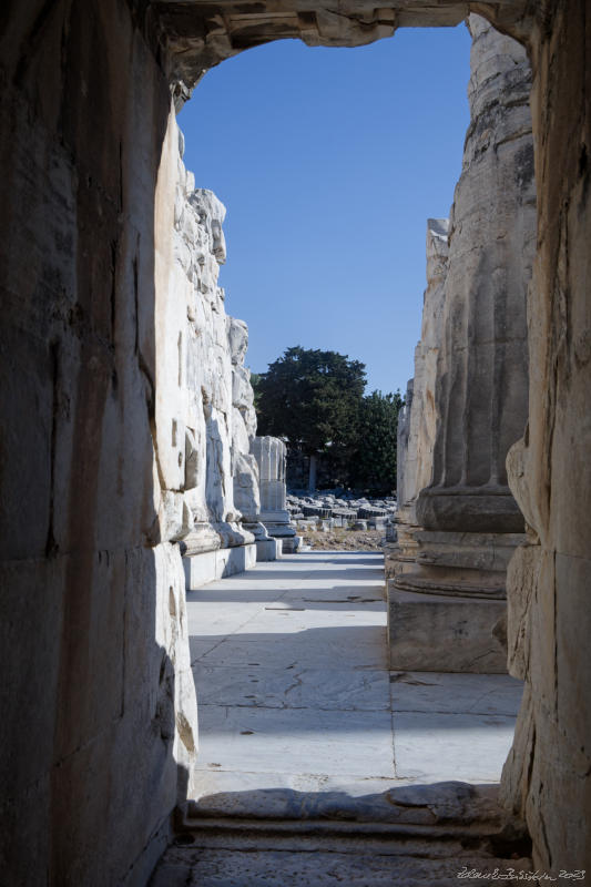 Didim - Temple of Apollo