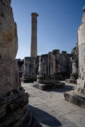 Didim - Temple of Apollo