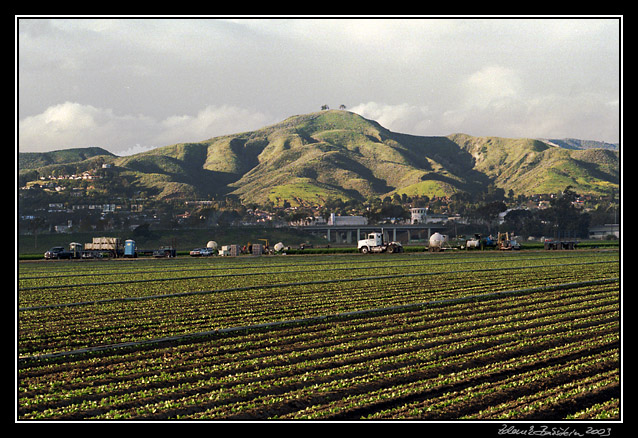 Ventura