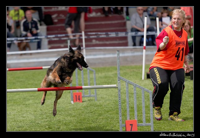 FMBB 2015, Agility 1, 8.5.2015