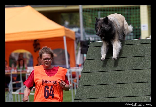 FMBB 2015, Agility 1, 8.5.2015