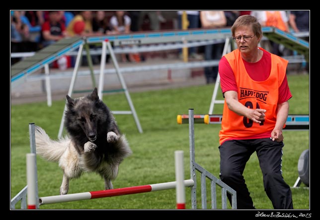 FMBB 2015, Agility 1, 8.5.2015