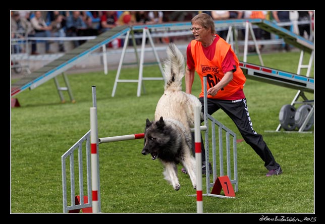 FMBB 2015, Agility 1, 8.5.2015