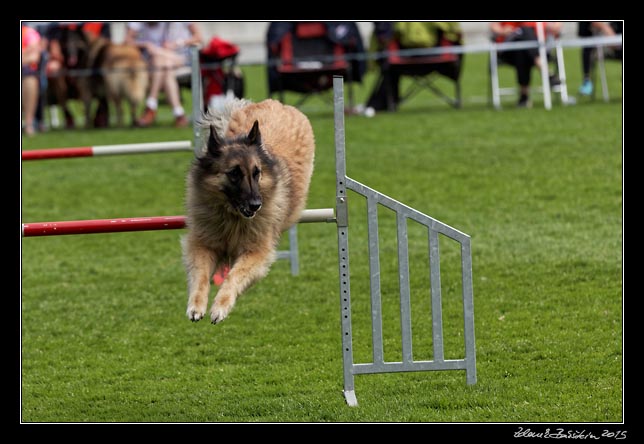 FMBB 2015, Agility 1, 8.5.2015